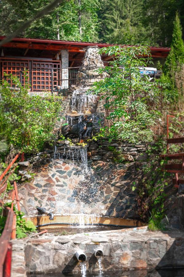 Piscul Negru Hotel - Transfagarasan Cumpana  Bagian luar foto