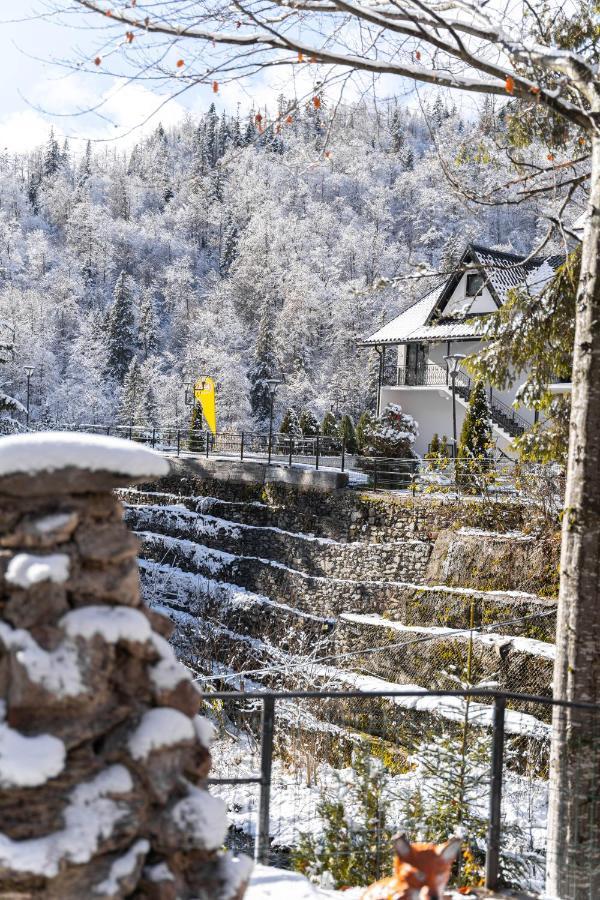 Piscul Negru Hotel - Transfagarasan Cumpana  Bagian luar foto