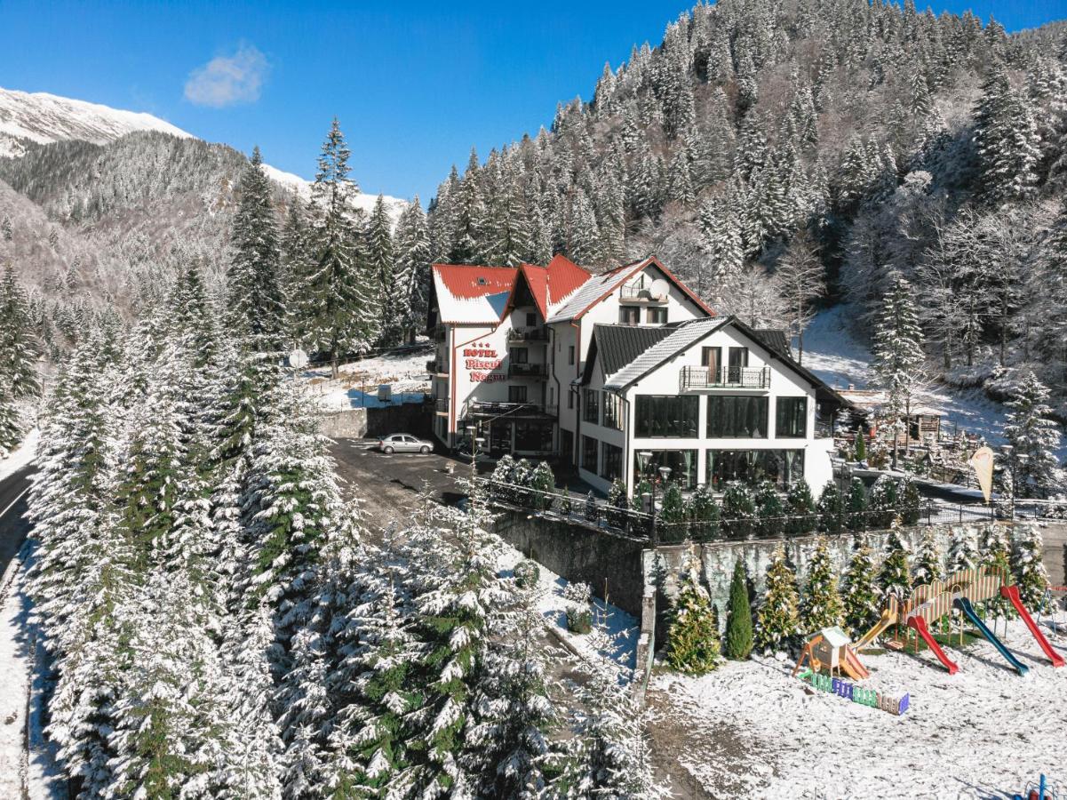 Piscul Negru Hotel - Transfagarasan Cumpana  Bagian luar foto