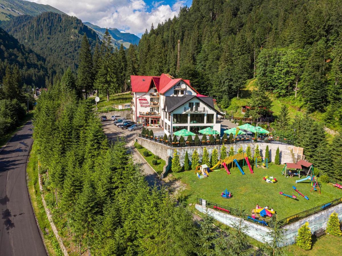 Piscul Negru Hotel - Transfagarasan Cumpana  Bagian luar foto